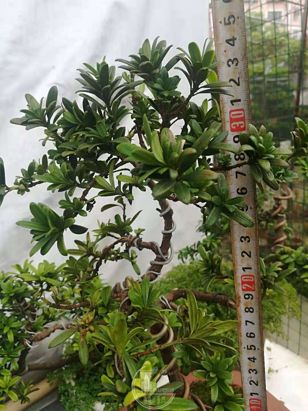΢ͼƬ_20190703005135.jpg