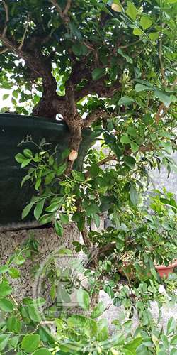 wx_camera_1564190882732_.jpg