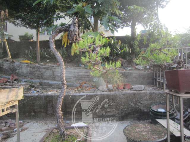 IMG_1143.JPG