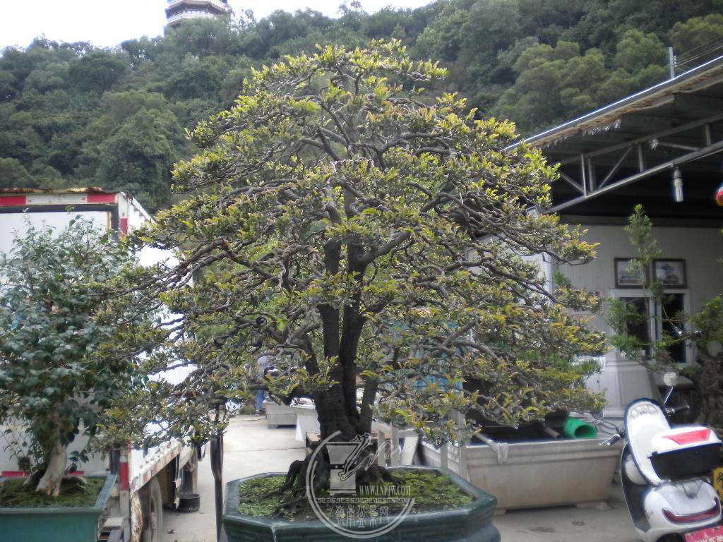 DSCN0404.JPG
