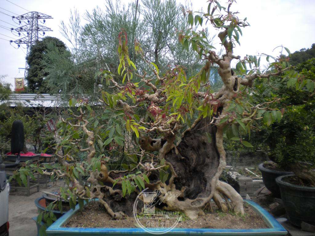 DSCN0402.JPG