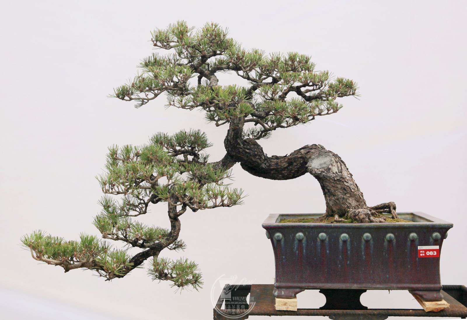1083 չλ辰Э      չߣŷԶ       ֣      ֮.jpg