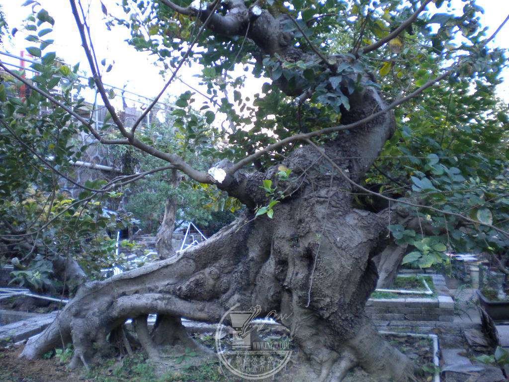 DSCN0461.JPG