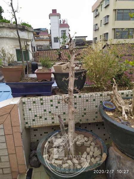 IMG_20200207_102745_С.jpg