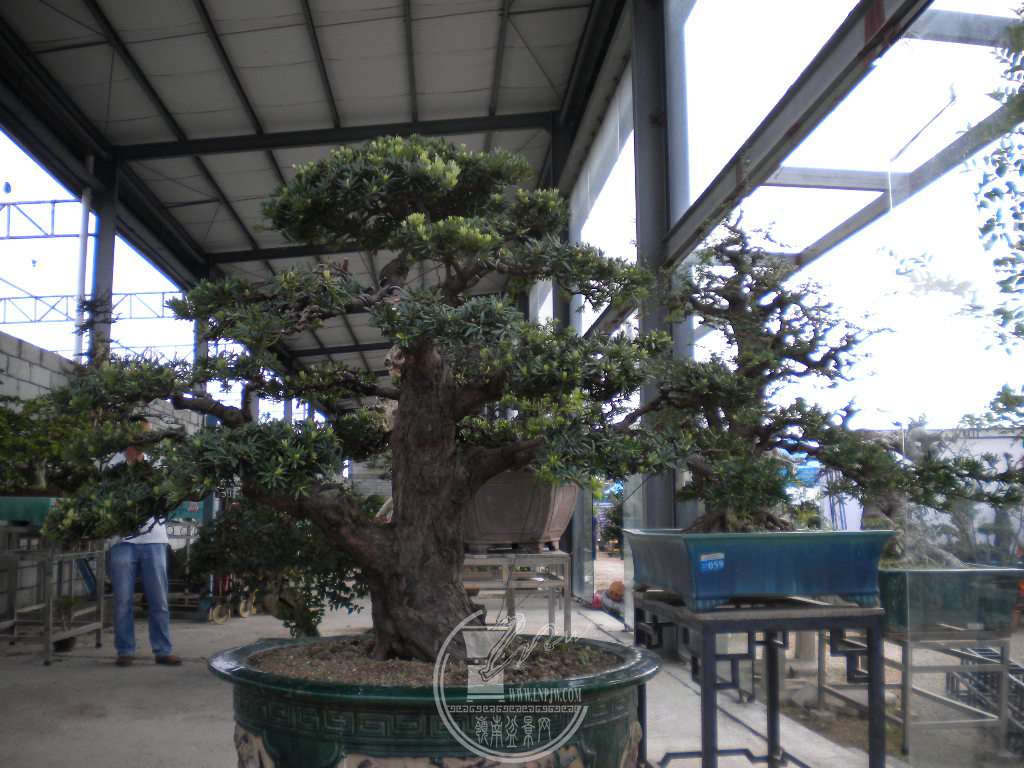 DSCN0365.JPG