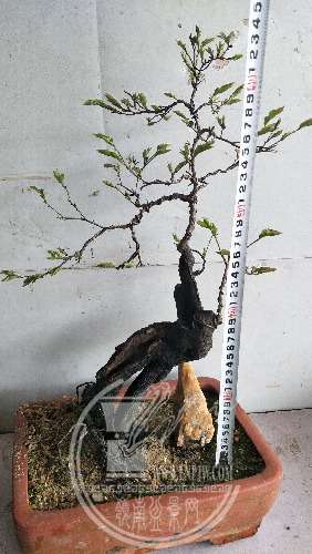 IMG20200306142517.jpg