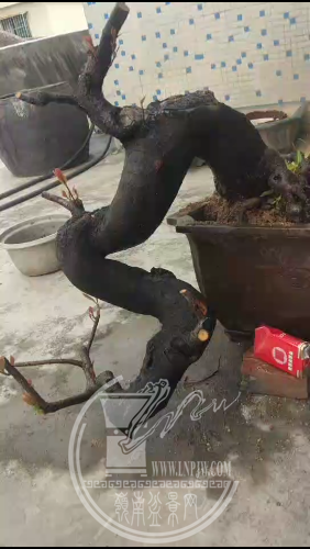 Screenshot_2020-03-08-20-46-57-235_com.miui.video.png
