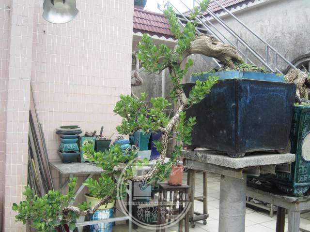 IMG_2711.JPG
