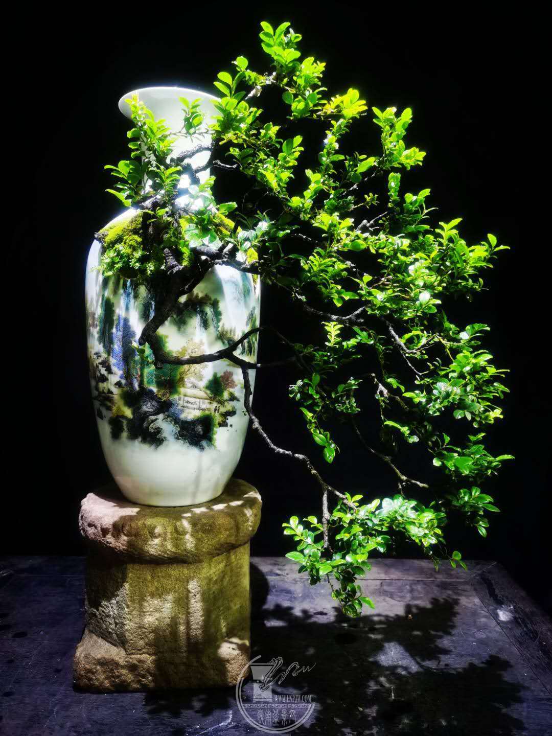 ΢ͼƬ_20200526190855.jpg