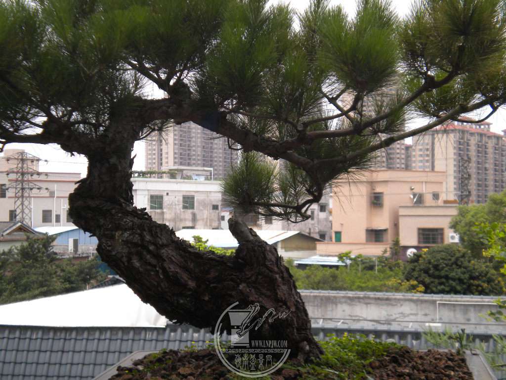 DSCN0623.JPG