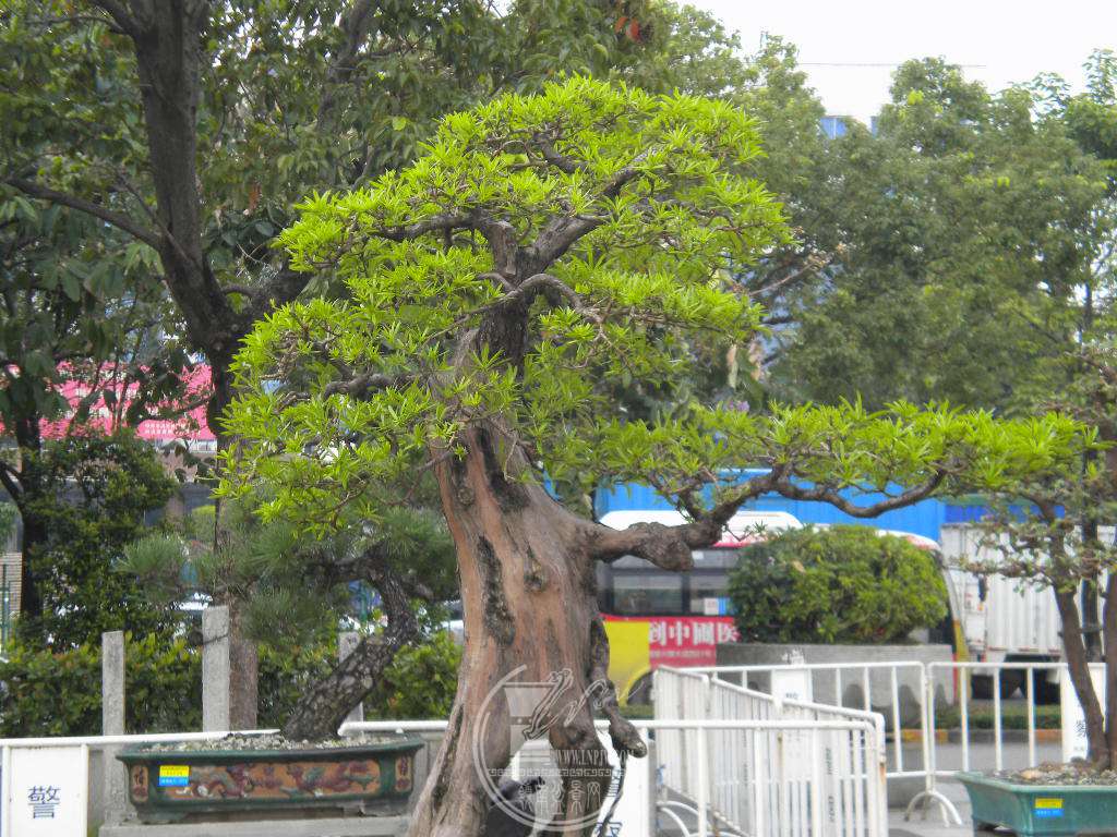 DSCN0177.JPG