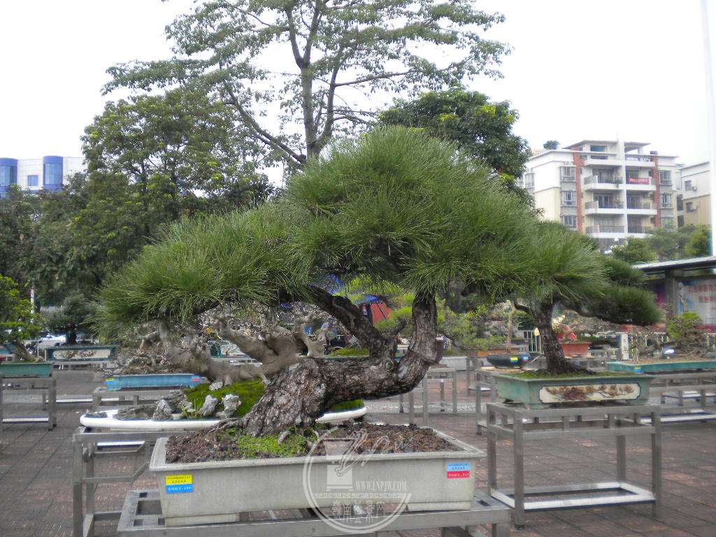 DSCN0199.JPG