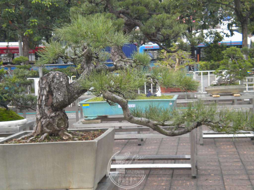 DSCN0165.JPG
