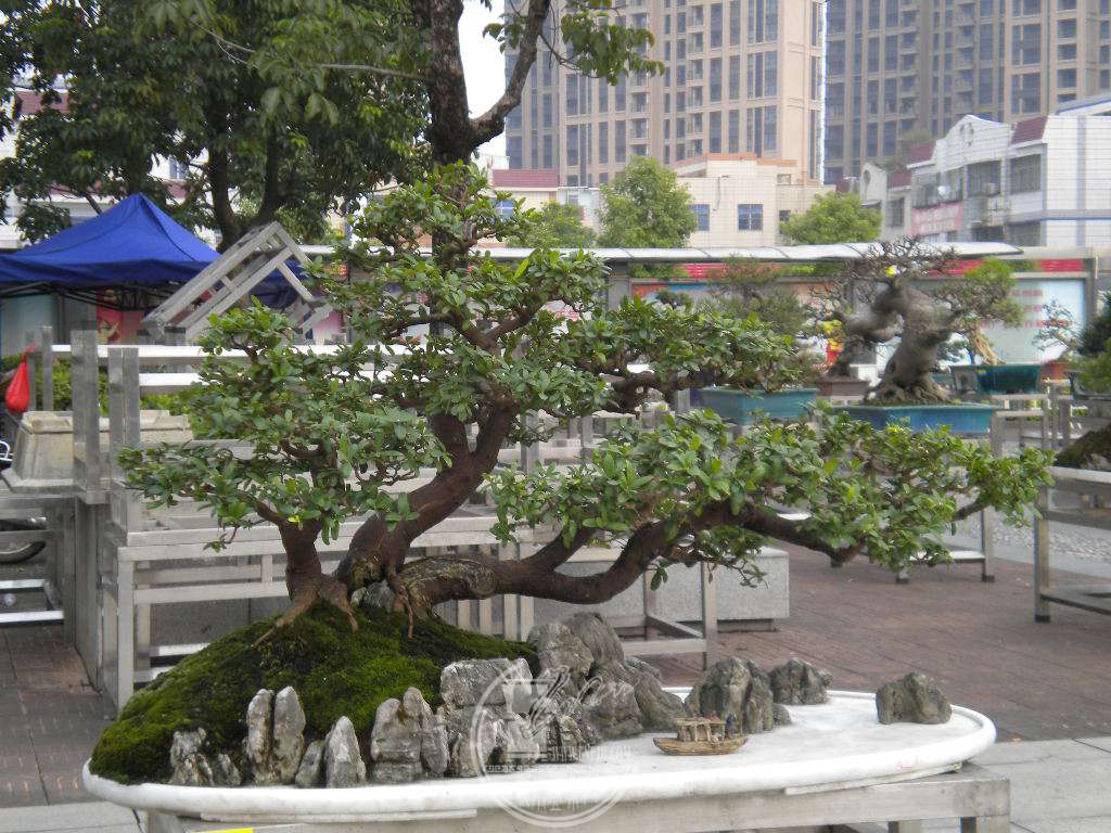 DSCN0183.JPG