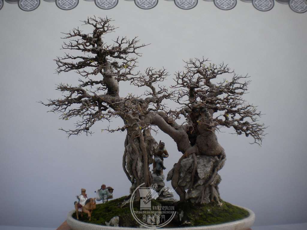 DSCN0375.JPG