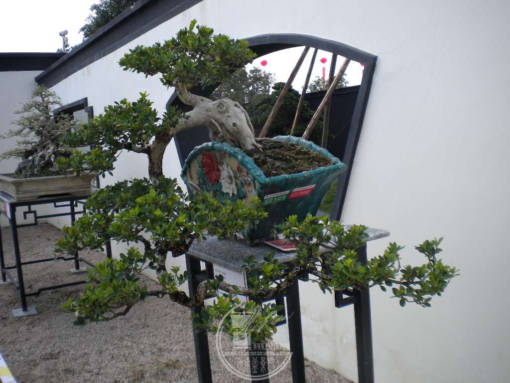 DSCN0392.JPG