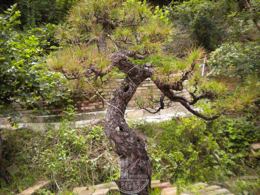 DSCN0627.JPG