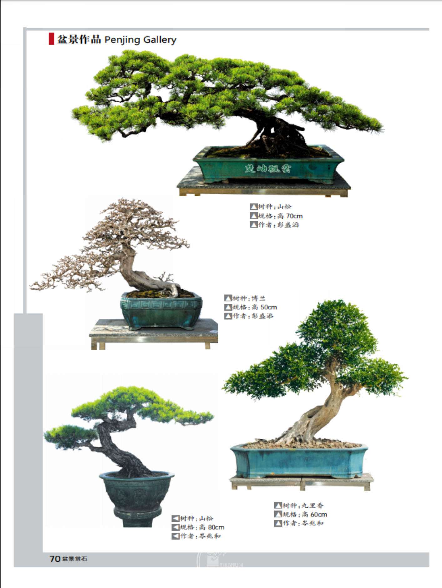 "乐从威武"系列:2019顺德盆景艺术联展 见刊