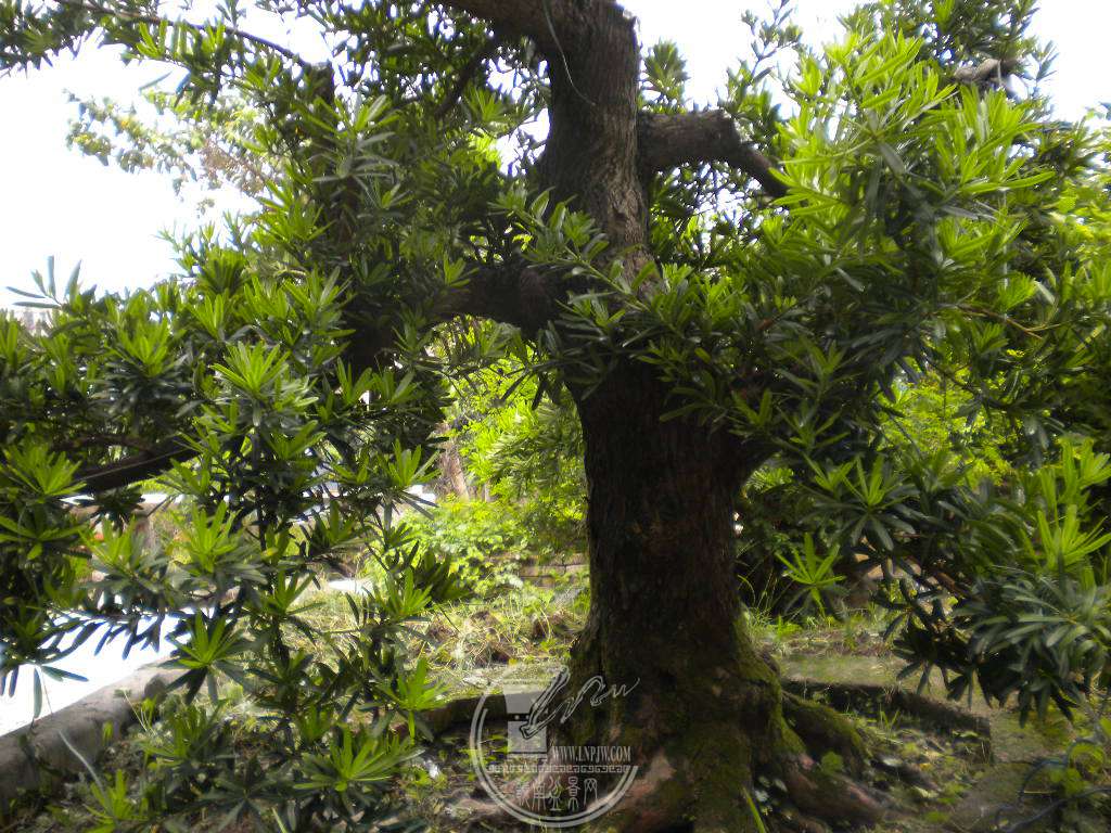 DSCN0628.JPG