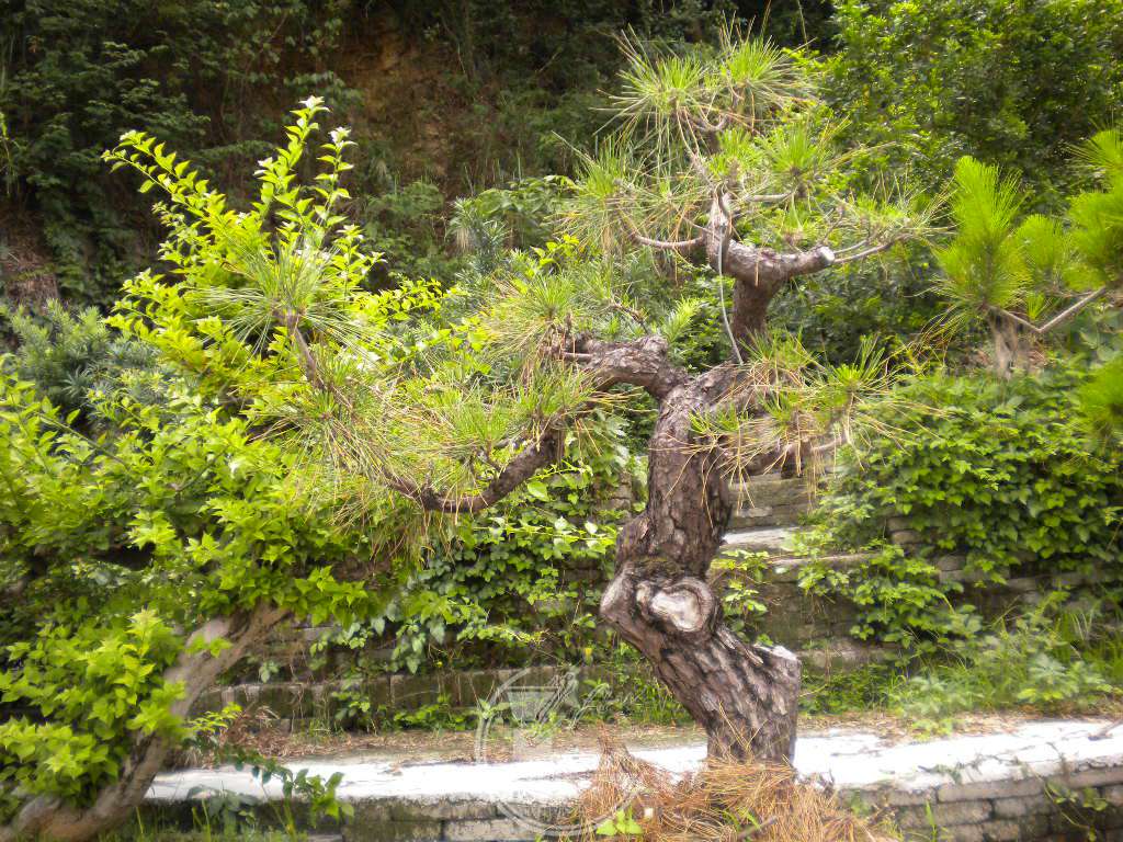 DSCN0630.JPG
