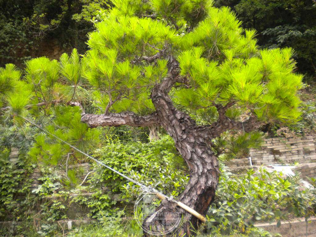 DSCN0629.JPG