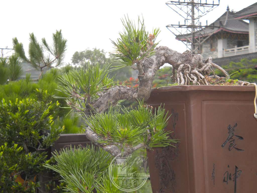 DSCN0639.JPG