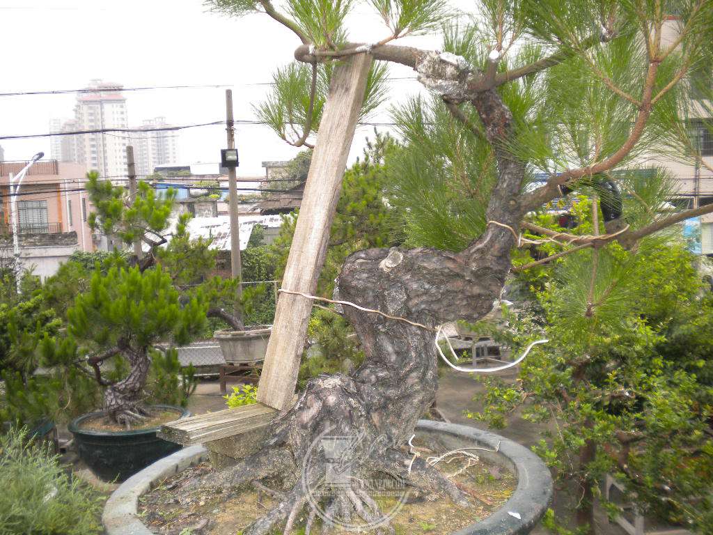 DSCN0641.JPG