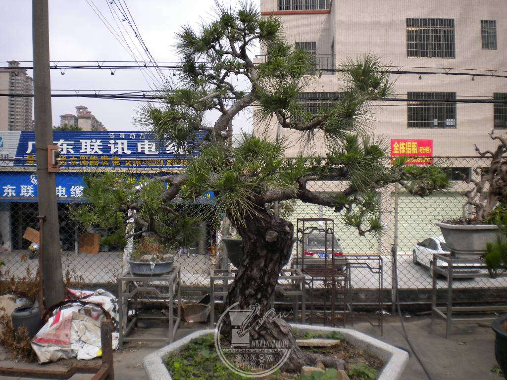 DSCN0535.JPG