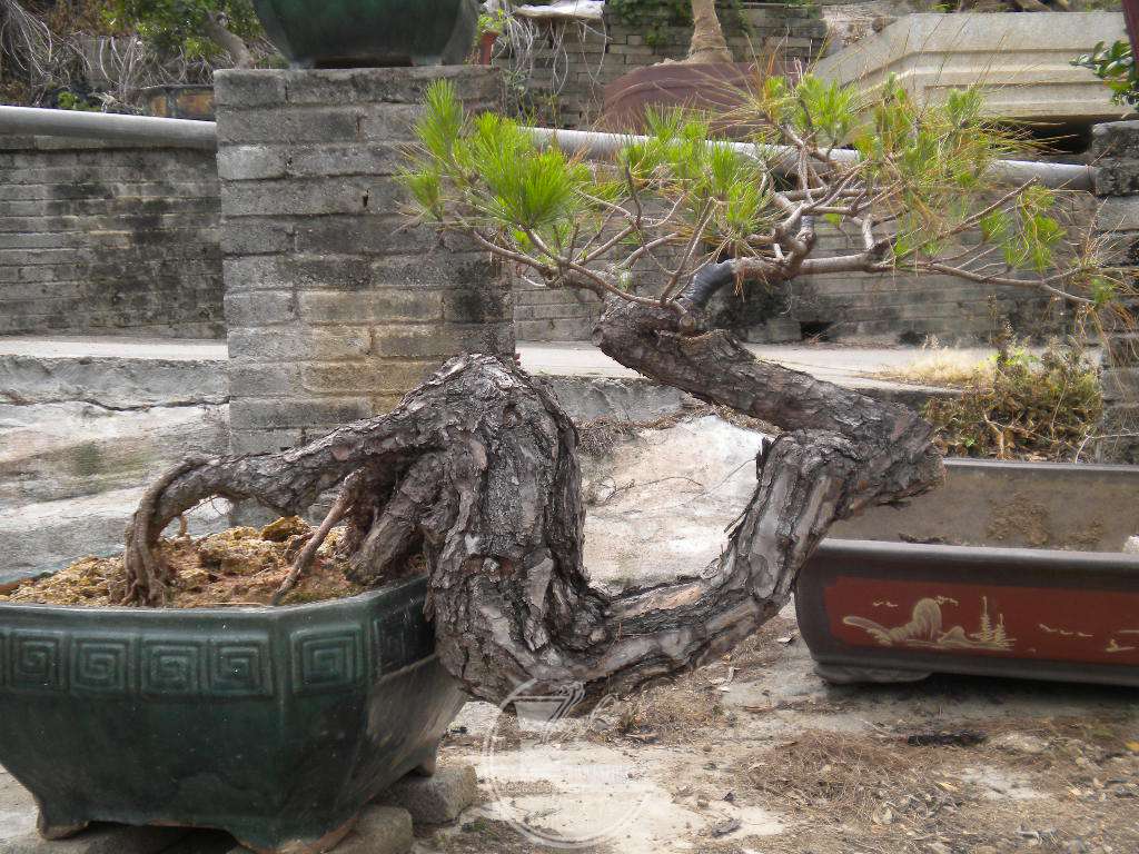 DSCN0548.JPG
