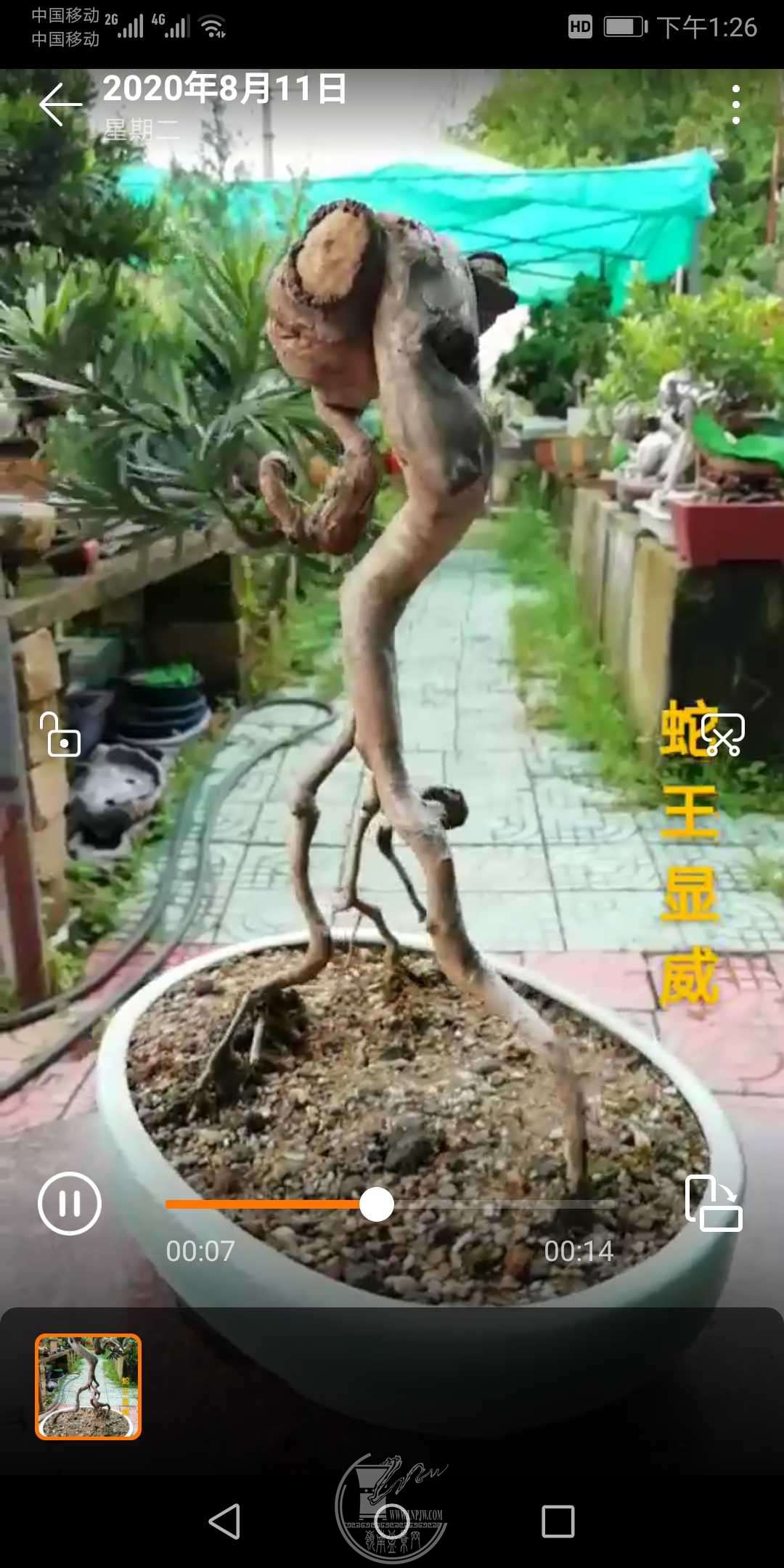 1598160927356.jpg