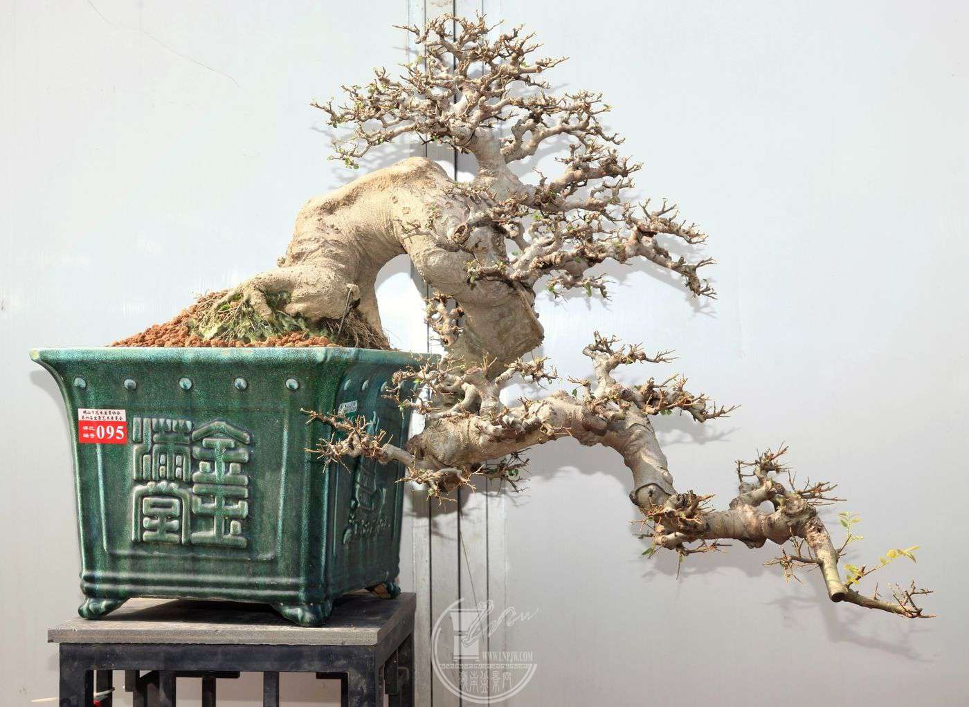 ȱţ095չߣ븣  ֣.jpg