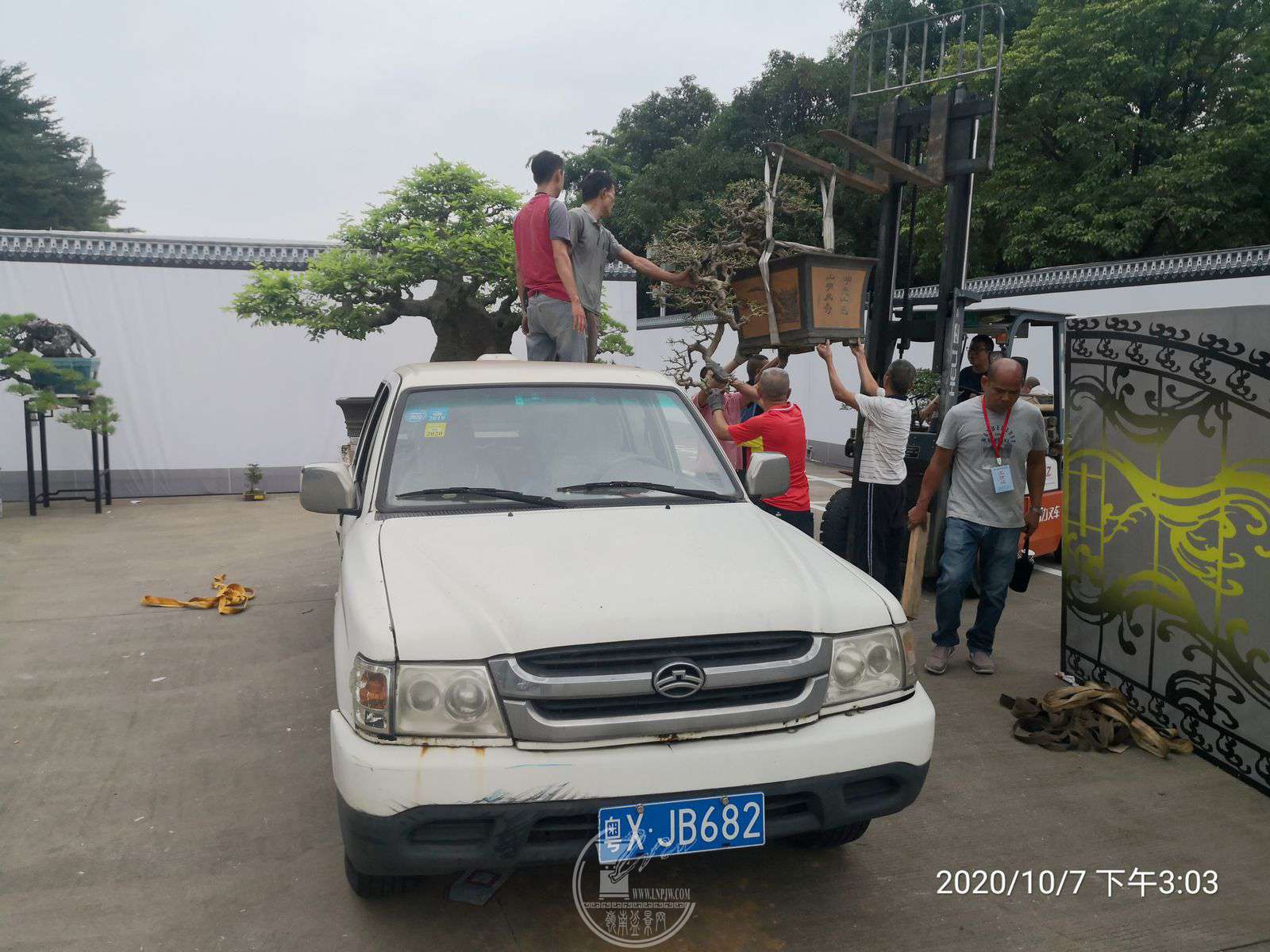 1108915719.jpg