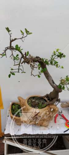 IMG_20201018_144337.jpg