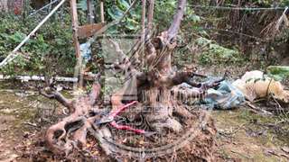 5AEA689A-2ABB-486B-B533-CEB3518537E1.jpeg