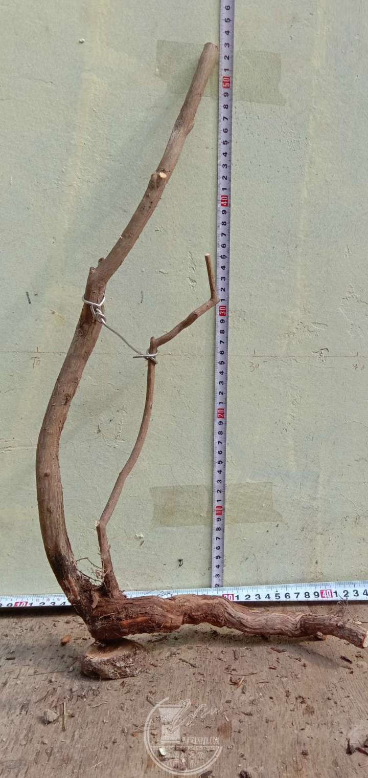 122013ʱ08125ͼƬѹ.jpg
