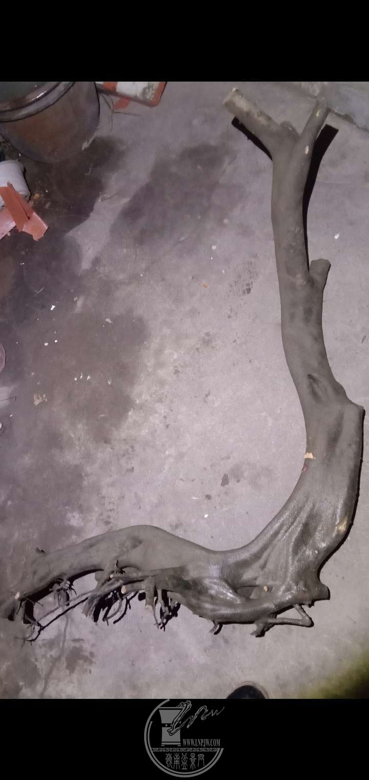 011222ʱ25571ͼƬѹ.jpg