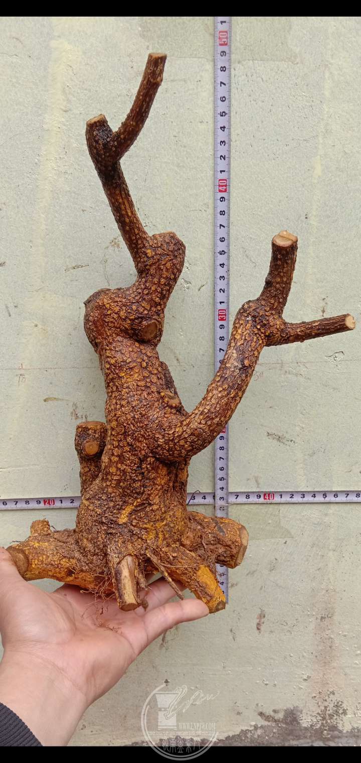012912ʱ28436ͼƬѹ.jpg