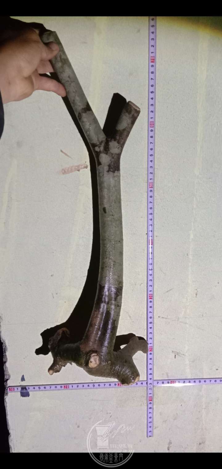012920ʱ36154ͼƬѹ.jpg