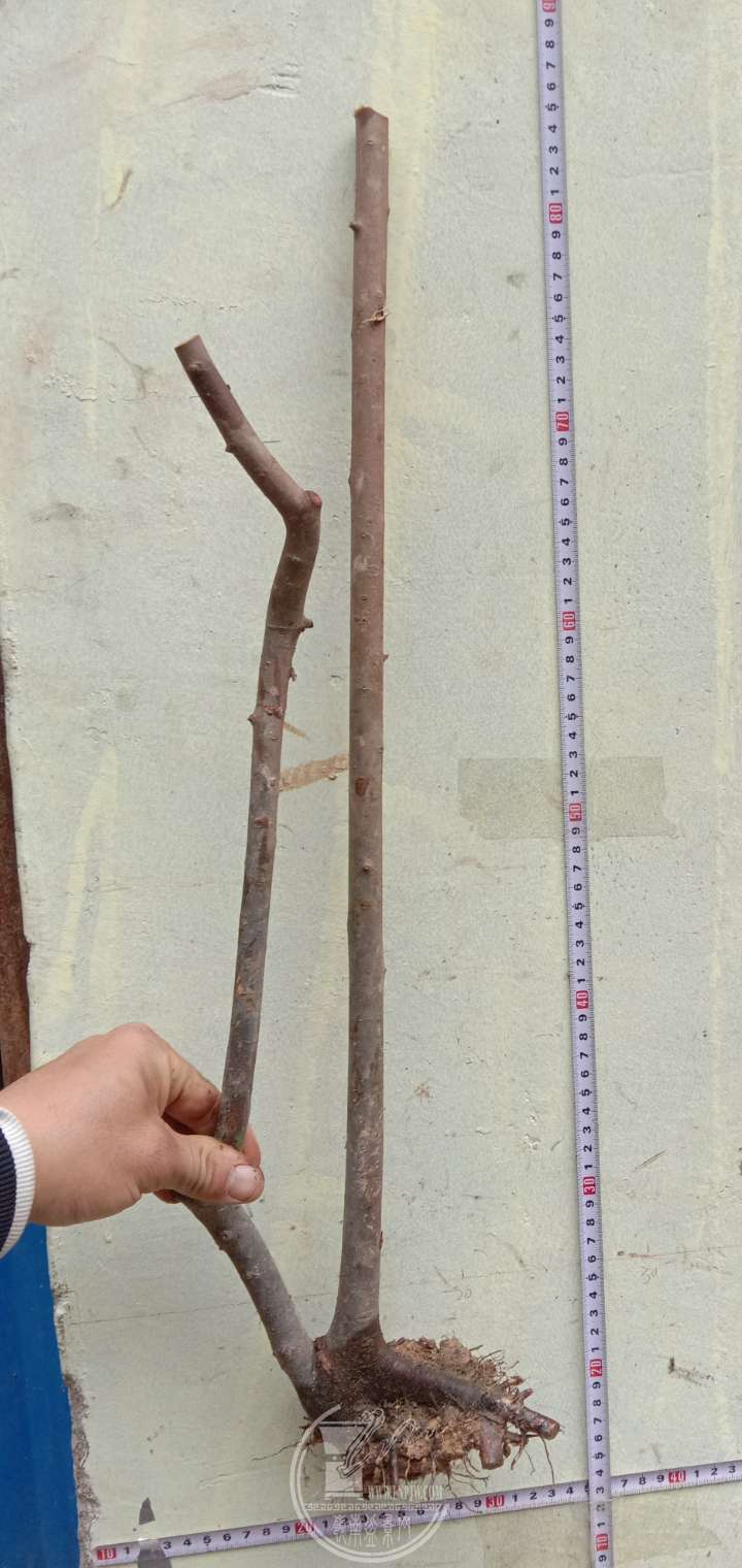 013013ʱ47510ͼƬѹ.jpg