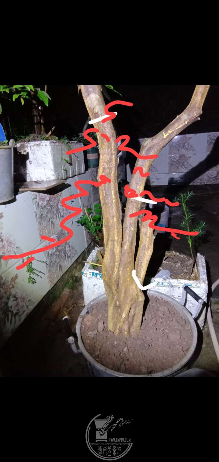 һͼ