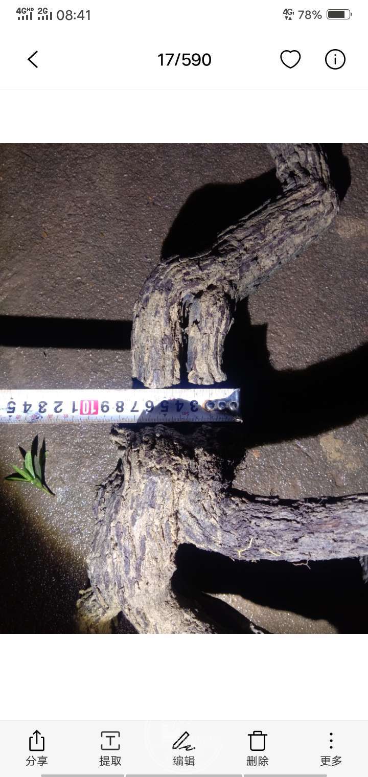 030908ʱ47569ͼƬѹ.jpg