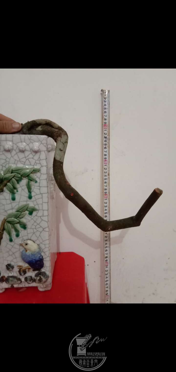 031400ʱ50110ͼƬѹ.jpg