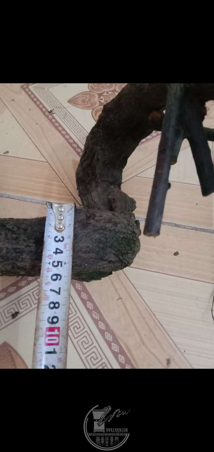 031400ʱ55370ͼƬѹ.jpg