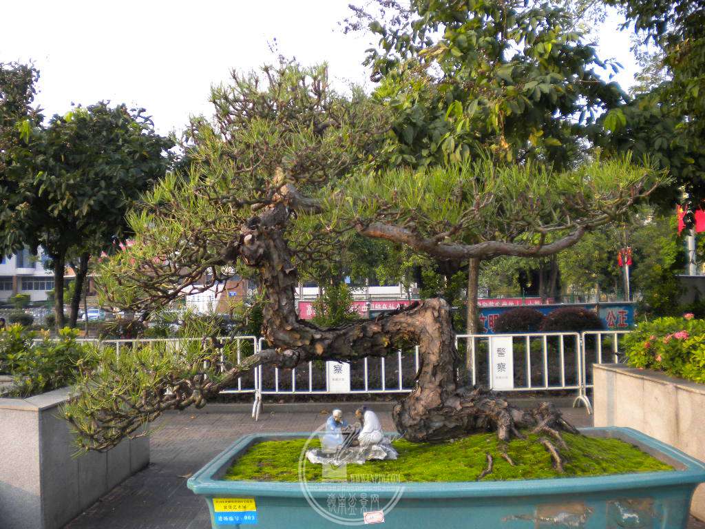 DSCN0076.JPG