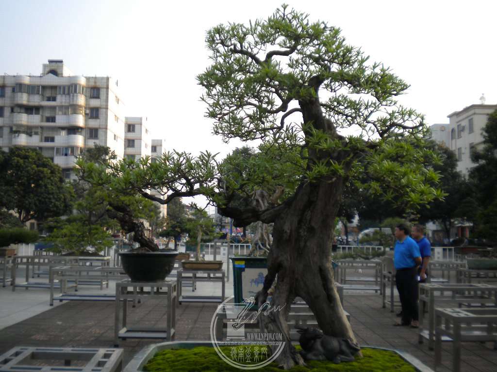 DSCN0120.JPG