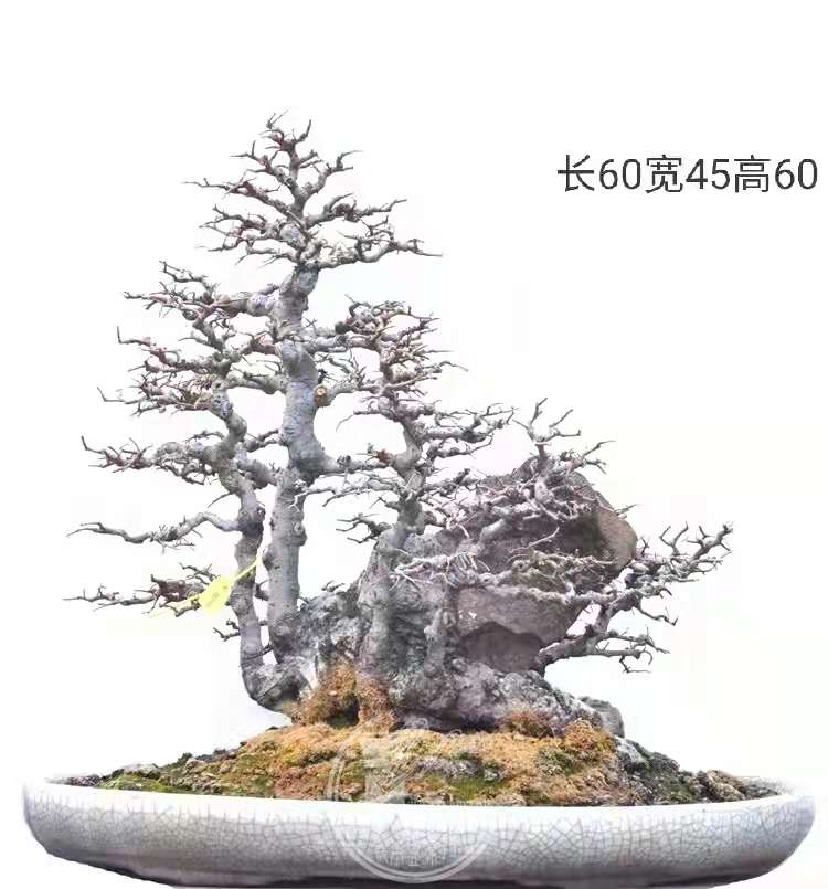 5.JPG