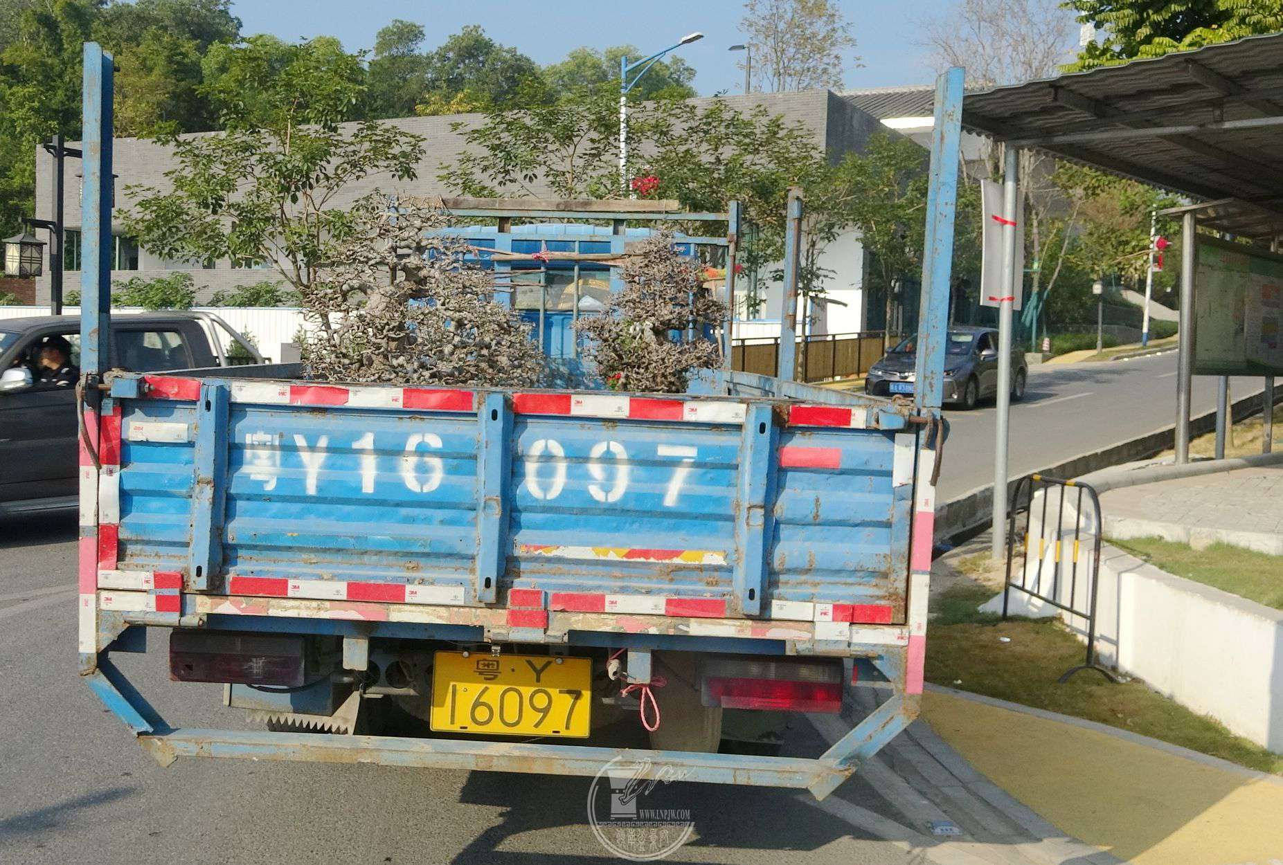 27DSC00795.jpg