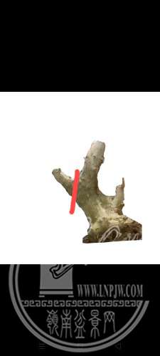 retouch_2022022211172347.jpg
