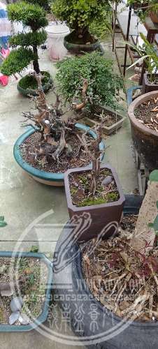 wx_camera_1651557570277.jpg