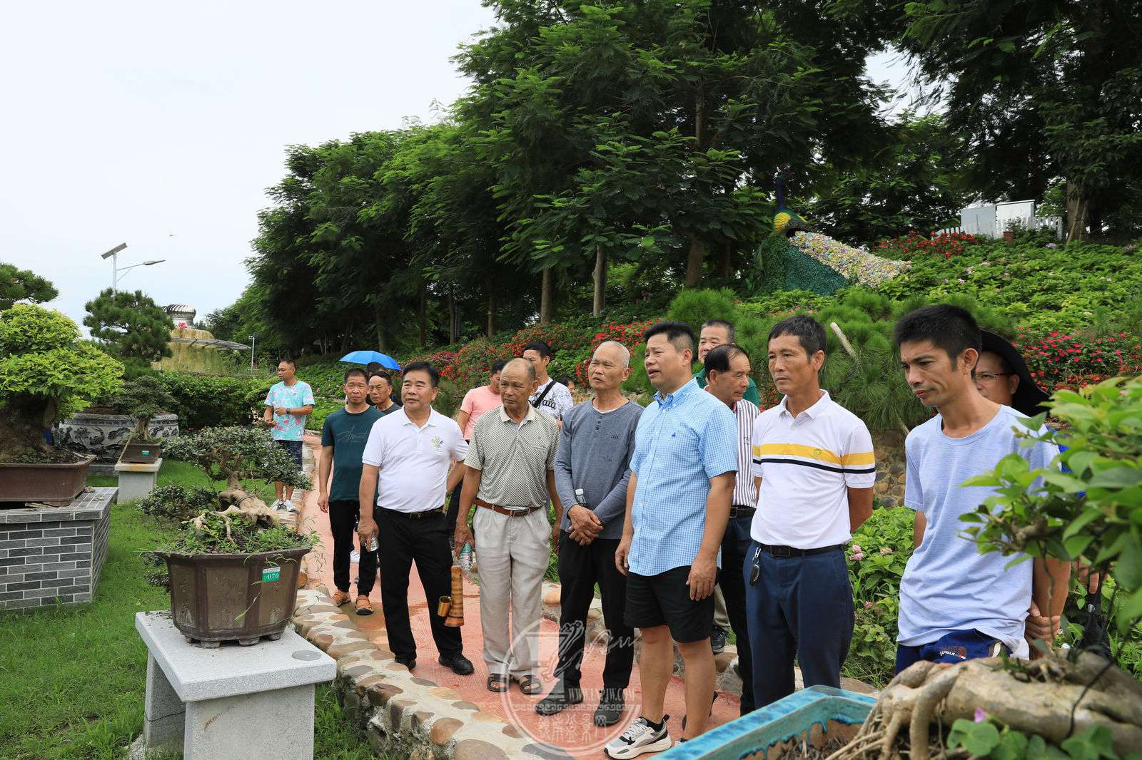 46BG1A1562.jpg